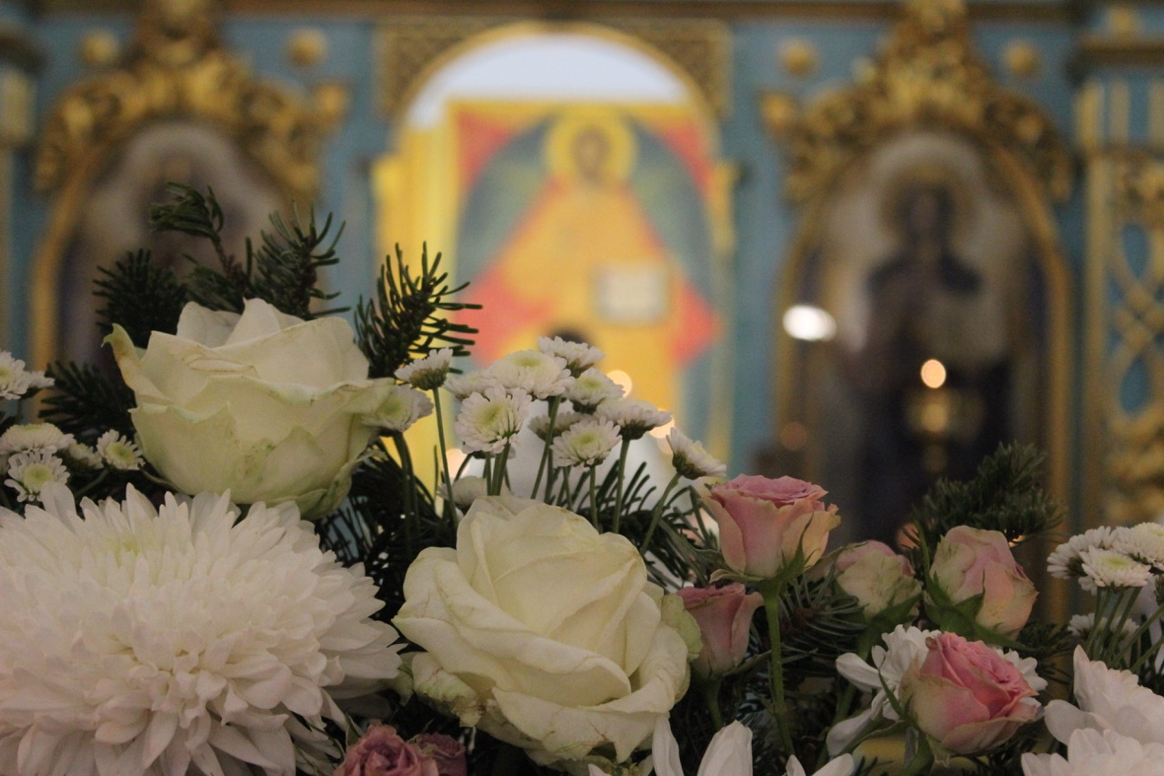 IMG_1900 — крупный размер